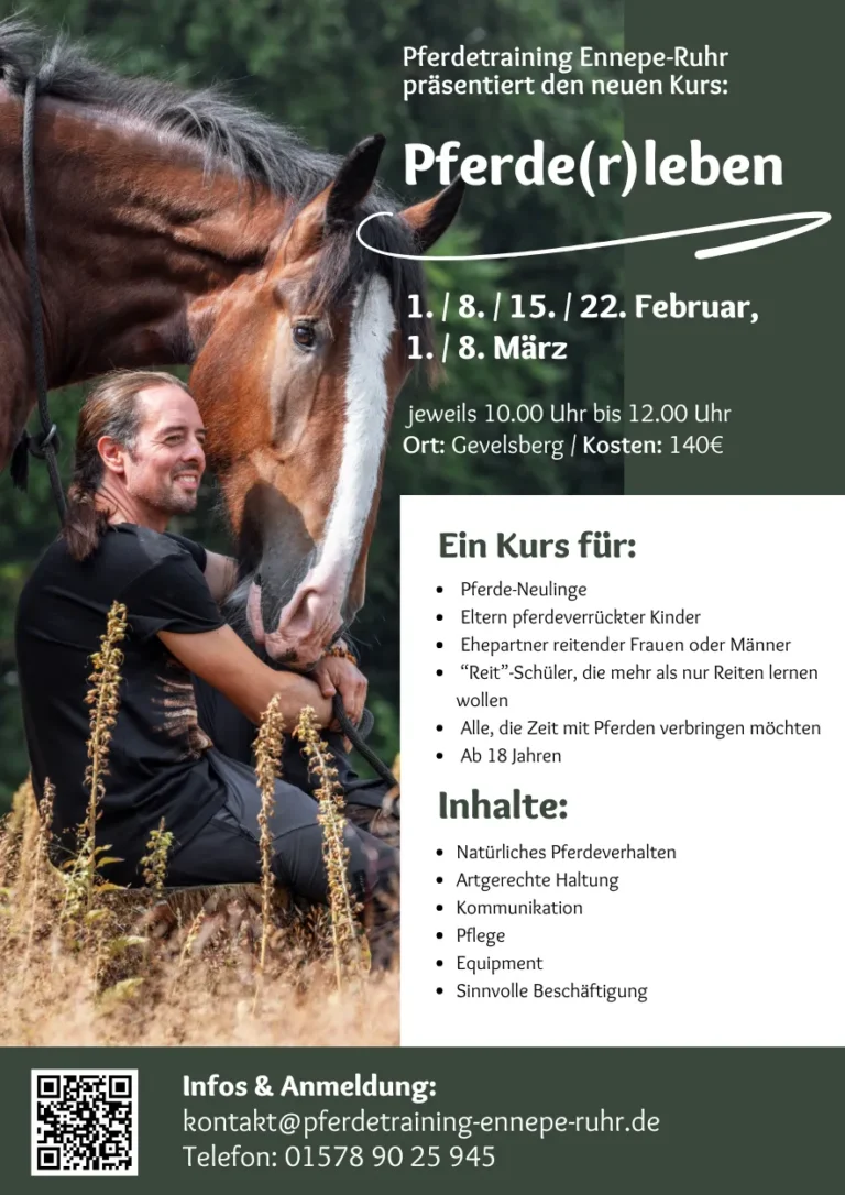 Neuer Kurs Pferdeerleben