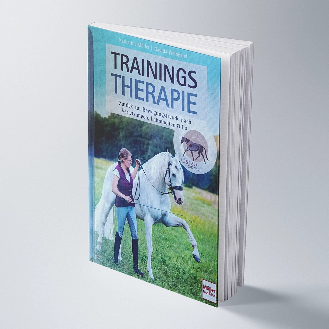 Trainingstherapie